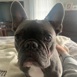 Meet your Posher, Doris